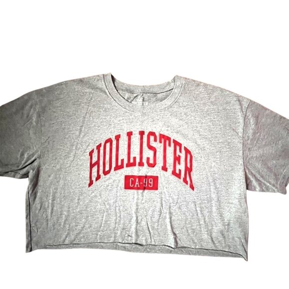 Hollister Crop Top Gray with Red Velvet-like Hollister Logo Medium - Picture 10 of 10